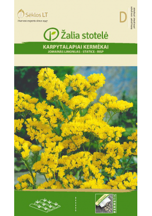 Egynyári sóvirág Sárga Z.S SL