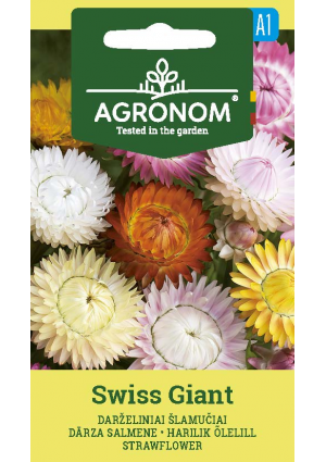 Szalmavirág Swiss Giant AGR SL