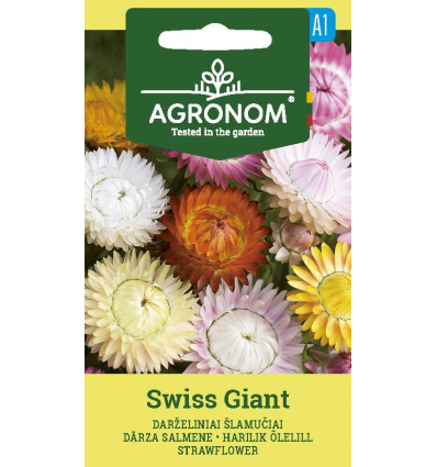 Szalmavirág Swiss Giant AGR SL
