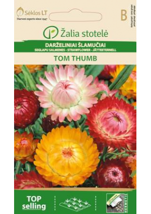 Szalmavirág Tom Thumb Z.S SL