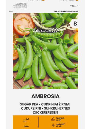 Borsó Ambrosia Z.S SL