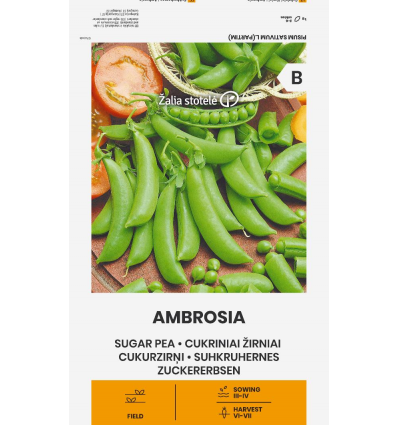 Borsó Ambrosia Z.S SL