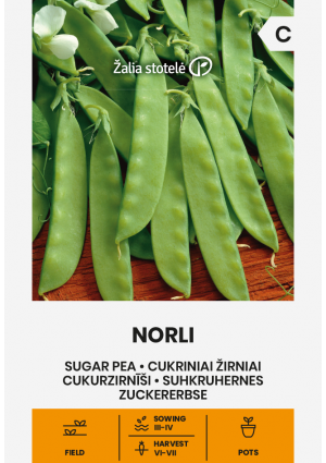 Borsó Norli (Cukorborsó) Z.S SL