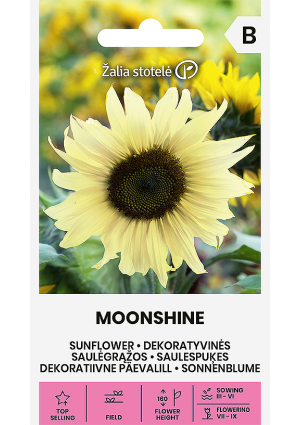 Dísznapraforgó Moonshine Z.S SL