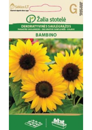 Dísznapraforgó Bambino Z.S SL