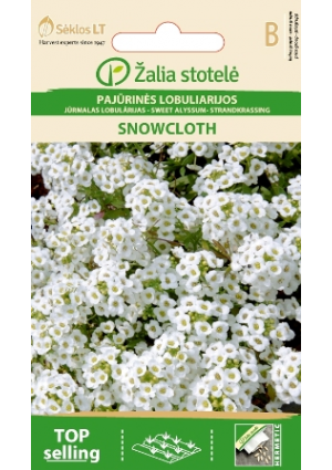 Mézvirág SnowCloth  White Z.S SL