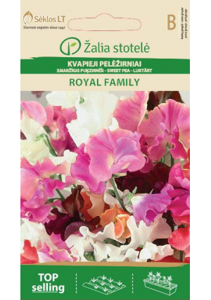 Szagosbükköny Borsóvirág Royal Famili Z.S SL