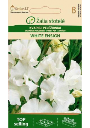 Szagosbükköny Borsóvirág White Ensign Z.S SL