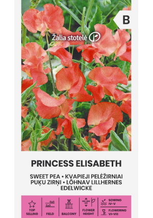 Szagosbükköny Borsóvirág Princess Elisabeth Z.S SL