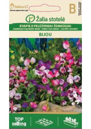 Szagosbükköny Borsóvirág Bijou Z.S SL