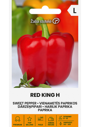 Paprika Red King Hibrid Z.S SL