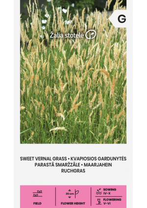 Borjúpázsit Sweet Vernal Grass Z.S SL