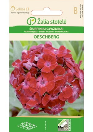 Törökszegfű OESCHBERG Z.S SL