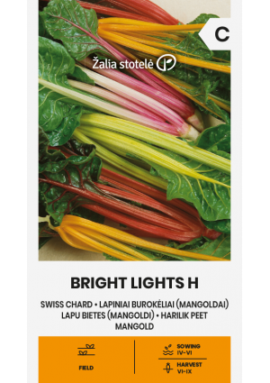 Mángold Bright Lights Hibrid  Z.S SL