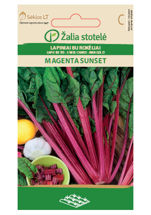 Mángold Magenta Sunset Z.S SL