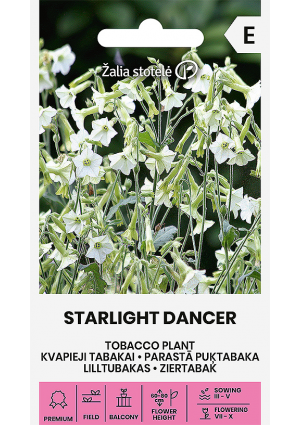 Dohányvirág Starlight Dancer Z.S SL