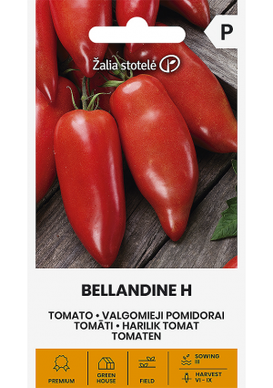 Paradicsom Bellandine Hibrid  Z.S SL