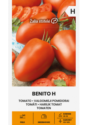 Paradicsom Benito Hibrid  Z.S SL