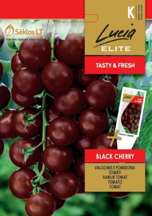 Paradicsom Black Cherry ELN SL