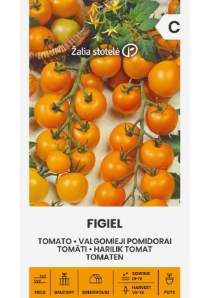 Paradicsom Figiel Z.S SL