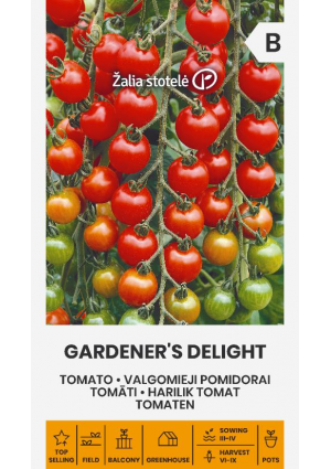 Paradicsom Gardener's Delight Z.S SL