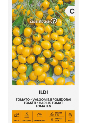 Paradicsom Ildi Z.S SL