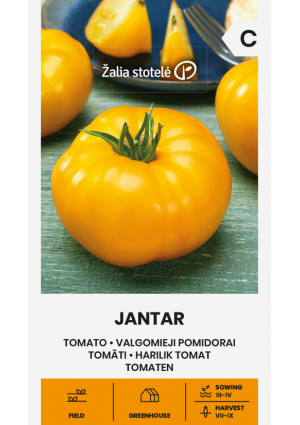 Paradicsom Jantar Z.S SL