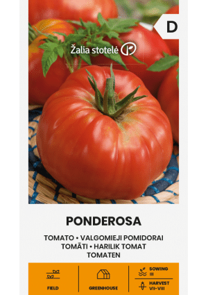 Paradicsom Ponderosa Z.S SL