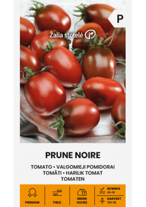 Paradicsom Prune Noire Z.S SL