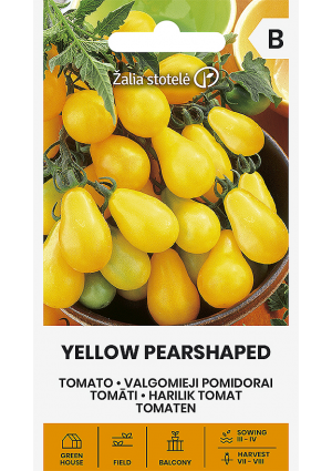 Paradicsom Yellow Pearshaped Z.S SL