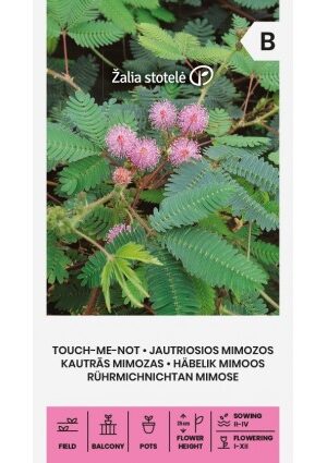 Szemérmes mimóza  Z.S SL