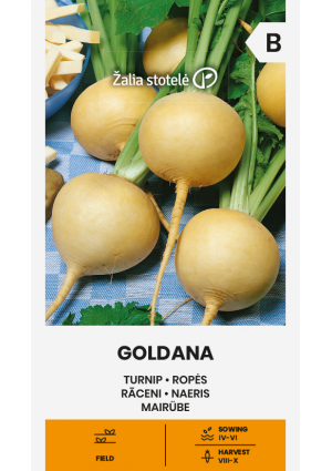Tarlórépa Goldana Z.S SL