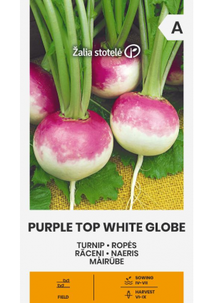 Tarlórépa Purple Top White Globe Z.S SL