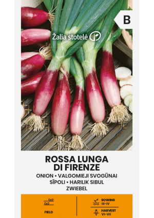 Hagyma Rossa Lunga Di Firenze Z.S SL
