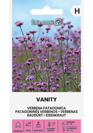 Ernyős verbéna Vanity Z.S SL