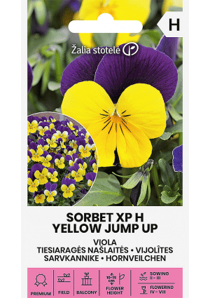 Árvácska Sorbet XP Hibrid Yellow Jump UP Z.S SL