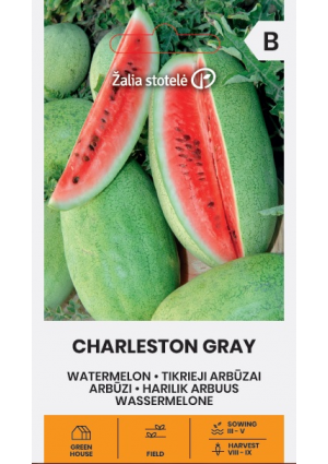 Görögdinnye Charleston Gray Z.S SL