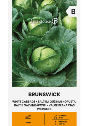 Káposzta Brunswick Z.S SL
