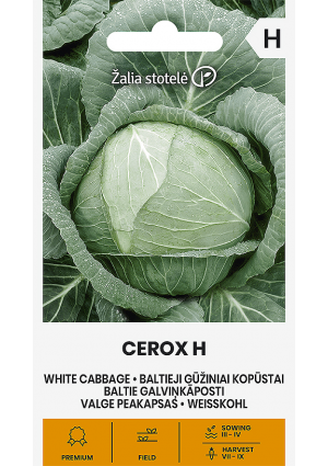 Káposzta Cerox Hibrid Z.S SL