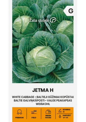 Káposzta Jetma Hibrid Z.S SL