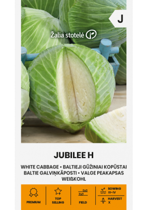 Káposzta Jubilee Hibrid Z.S SL