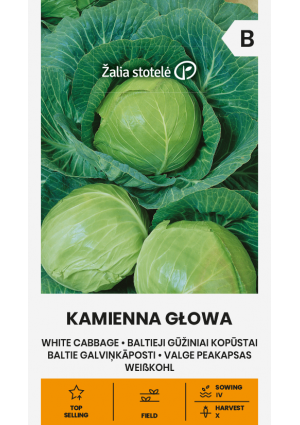 Káposzta KAMIENNA GŁOWA Z.S SL