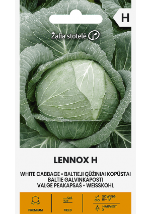 Káposzta Lennox Hibrid Z.S SL