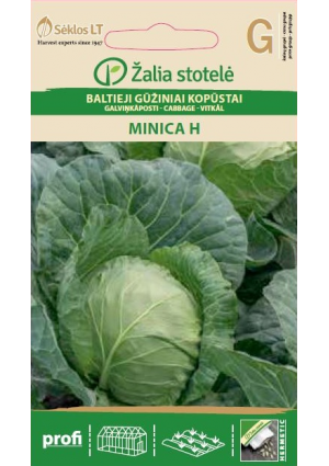 Káposzta Minica Hibrid Z.S SL