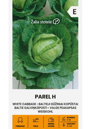 Káposzta Parel Hibrid  Z.S SL