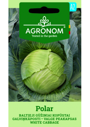 Káposzta Polar SL AGR
