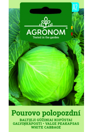 Káposzta Pourovo Polopozdni SL AGR
