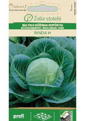 Káposzta Rinda Hibrid Z.S SL