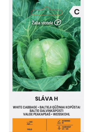 Káposzta Sláva Hibrid Z.S SL