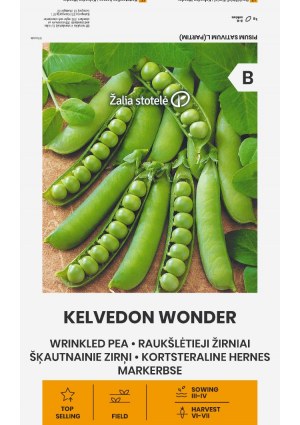 Borsó Kelvedon Wonder Z.S SL